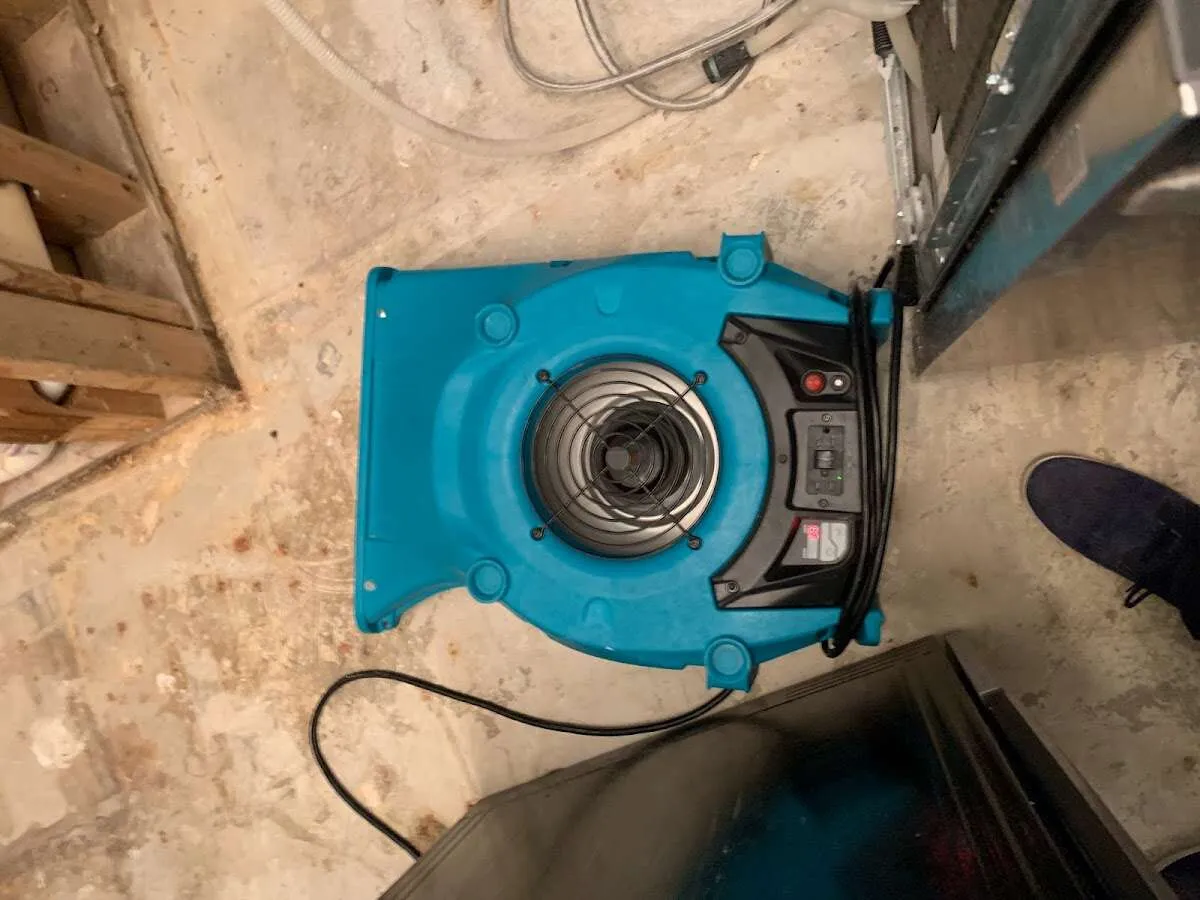 Air mover drying equipment for Mold Remediation & Removal in Islamorada, Village of Islands